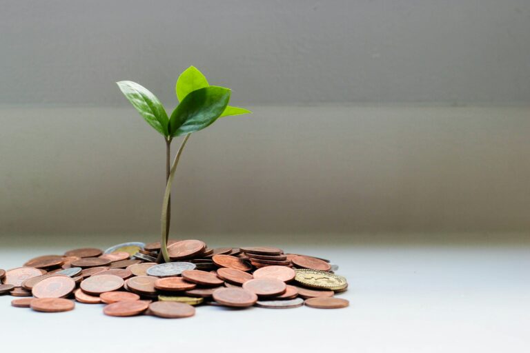 The 4 Main Types of Crowdfunding